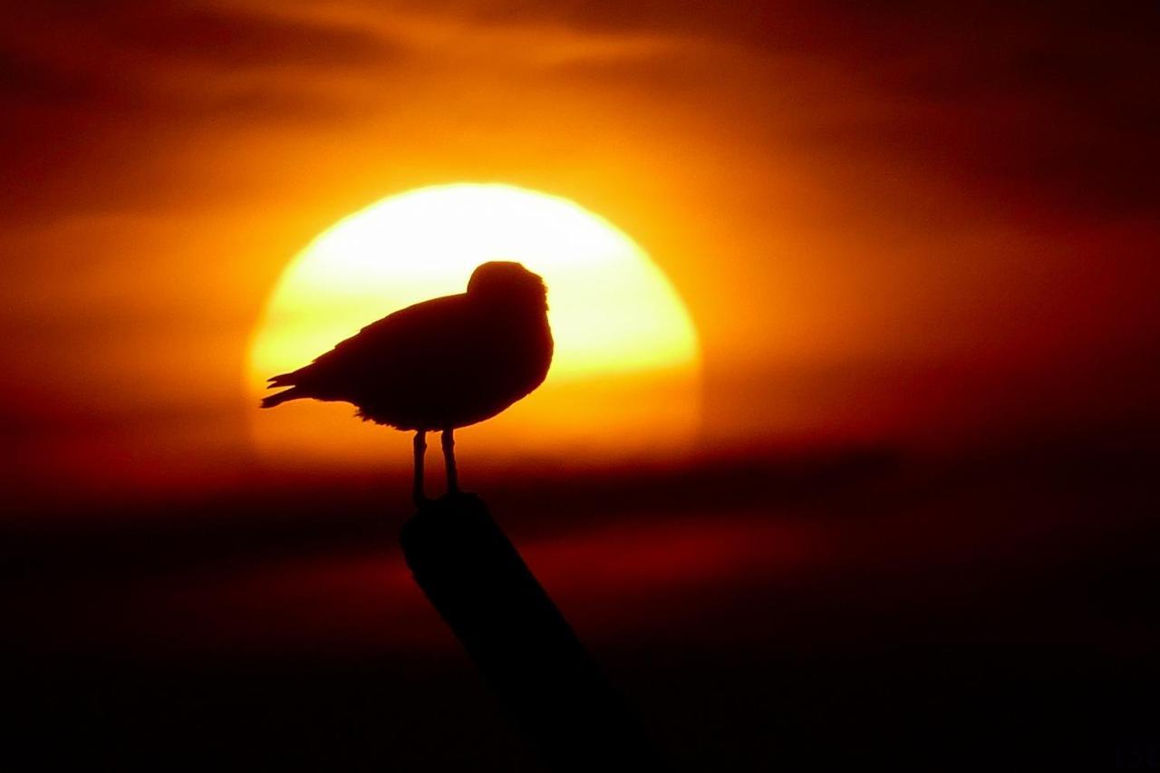 Paesens Wol Thusヴィラ エクステリア 写真